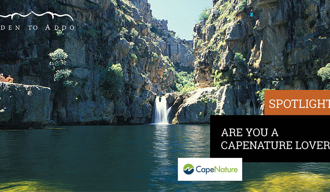 CapeNature Reserves offer you comfortable accommodation, adventure and the most beautiful scenery of the Cape.