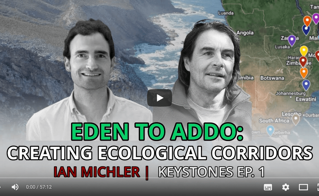 Corridor conservation | Keystones Podcast Episode 1 – Ian Michler