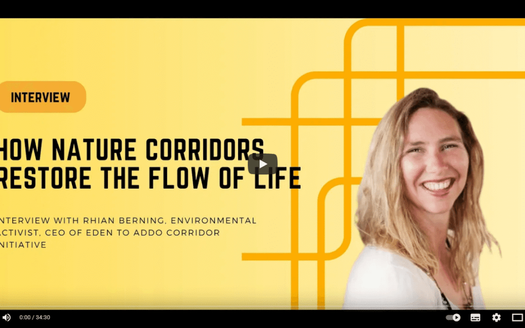 How nature corridors restore the flow of life – Interview with Rhian Berning