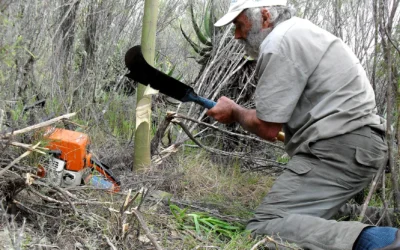 Daily Maverick: Learning from the river guardian who protects Plettenberg Bay’s source of water