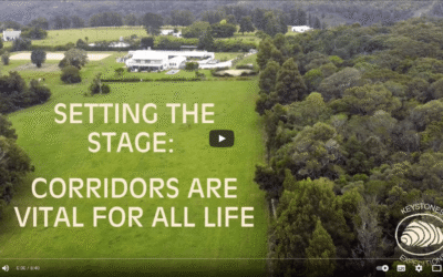 Why Corridors Are Vital for All Life | Setting the Stage
