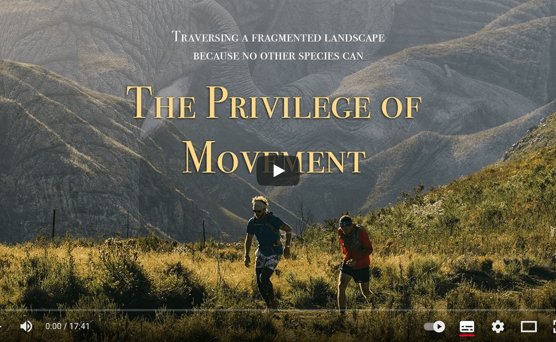 The Privilege of Movement