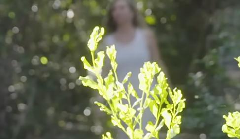 We are Nature | Eden to Addo