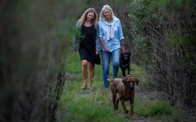 Connecting Eden to Addo